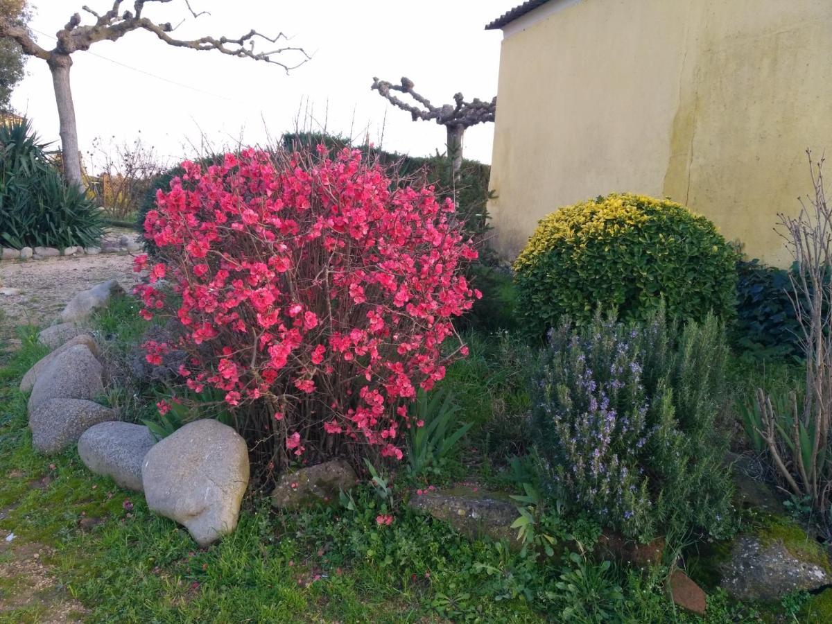 Casa Rural "Can Abres" Vilobi D'Onyar Girona Vilovi de Onar Екстер'єр фото